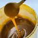 Паста ароматизированная Карибская ваниль TM IRCA Joypaste Vanilla Сaribe 1,2 кг 09.10 фото 5