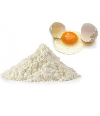 Яєчний порошок 0,500 грам 10.26 фото